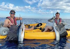 Best friend sailfish double up.