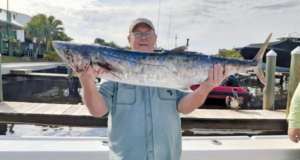 Big king mackerel are biting along the Treasure Coast.