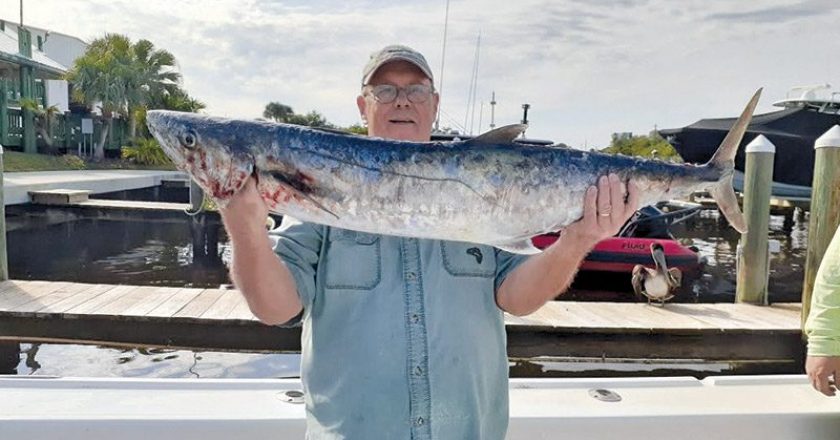 Big king mackerel are biting along the Treasure Coast.