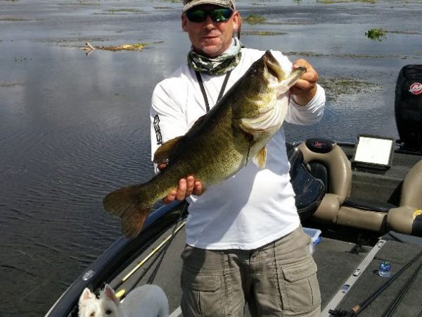 David Cepeck, 8.25-lbs, Lake Okeechobee
