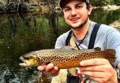 Ethan Hollifield