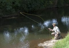 Fly casting
