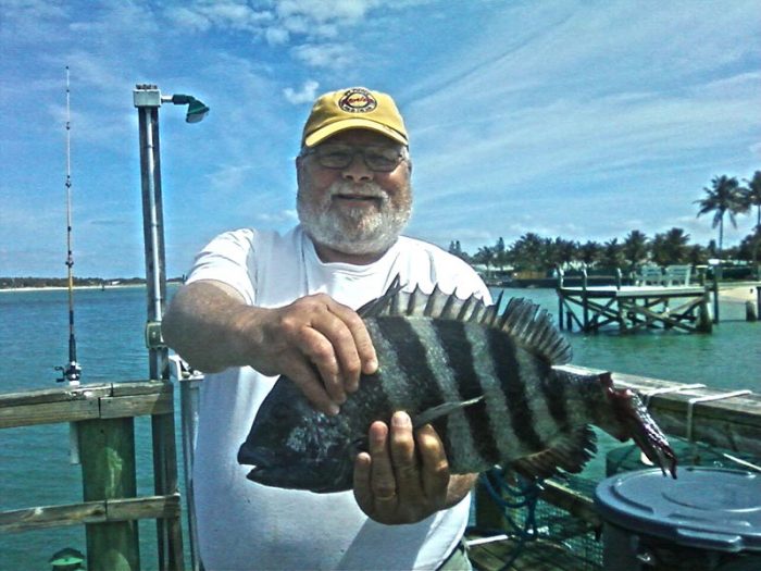 John Gilson with a nice sheepshead he caught in the Fort Pierce Inlet. Photo courtesy of Capt. Joe’s River Charters.
