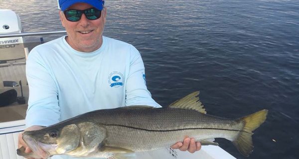 treasure-coast-snook