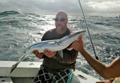 Nice Barracuda!