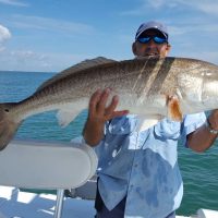 treasure-coast-redfish