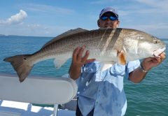 treasure-coast-redfish