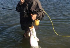 Deer Season and Trophy Trout