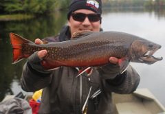 Twin Ponds – An Adirondack Brook Trout Preserve