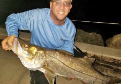 20 Lb. Snook