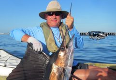 PALM BEACH kayak fishing report
