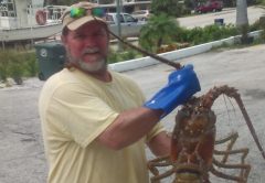 treasure-coast-lobster