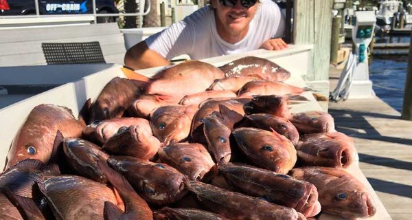 treasure-coast-snapper