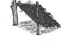 Mountain Wisdom - lean-to