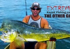 Joe Hector caught this nice bull live baiting from his kayak.