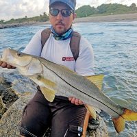 Chris Pascual caught this snook off Dania Beach with a live pilchard.
