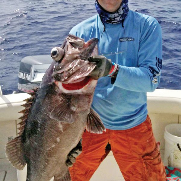 Bob Kalbaugh caught this 50 pound wreckfish while deep dropping in 950 feet off Fort Lauderdale.