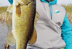 Capt. Drew with a beautiful cold front bass.