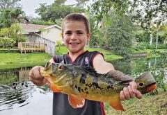 Nick Dyer with a backyard peacock bass!