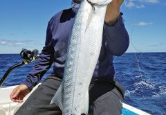 Chris Pascual with a nice barracuda caught on a Mahi Maniacs lure.