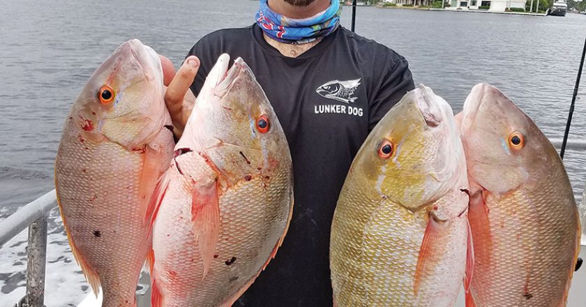 Loyal reader Chris Pascual with four keeper mutton snapper caught on one trip aboard the Catch My Drift.
