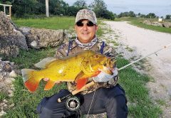 Tim Milan with a stud peacock bass caught on a fly.