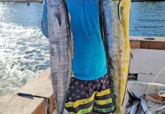 Loyal reader Chris Pascual with a wahoo and dolphin caught on a charter trip with Fishing Headquarters.