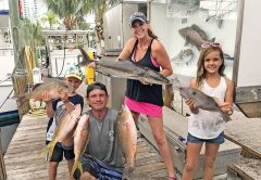 With barely any boats out there harassing the fish after Hurricane Irma, the fishing is getting really good. The fish are biting like mad. Lots of snappers, a few kingfish around and this lucky lady angler caught a cobia!