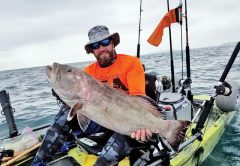 Shaun Roles scored a solid black grouper from his new lucky kayak on the last day of the season.