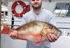Big mutton snapper caught with Fishing Headquarters.