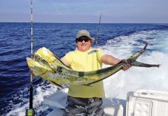 Fort Lauderdale bull dolphin