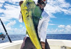 Chevy Potter enticed this solid bull with a live pilchard off Bimini.