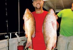 Chris with a pair of nice mangrove snappers caught with Fishing Headquarters.