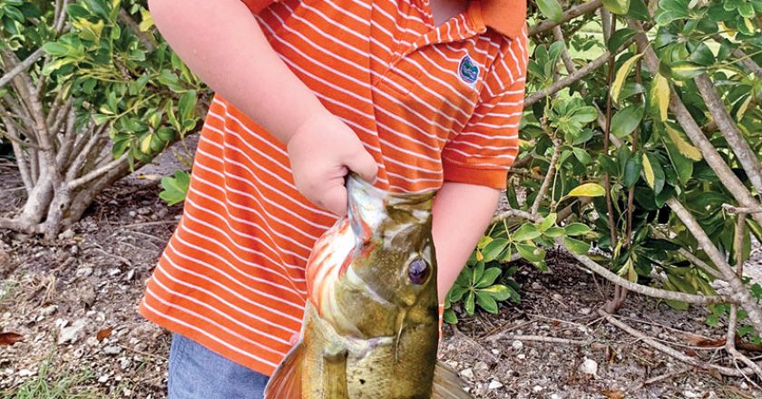 Four year old Bryce Sporrer with his first peacock bass.