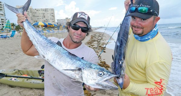 Joe Hector and Brian Nelli with a pair of kingfish caught from kayaks.