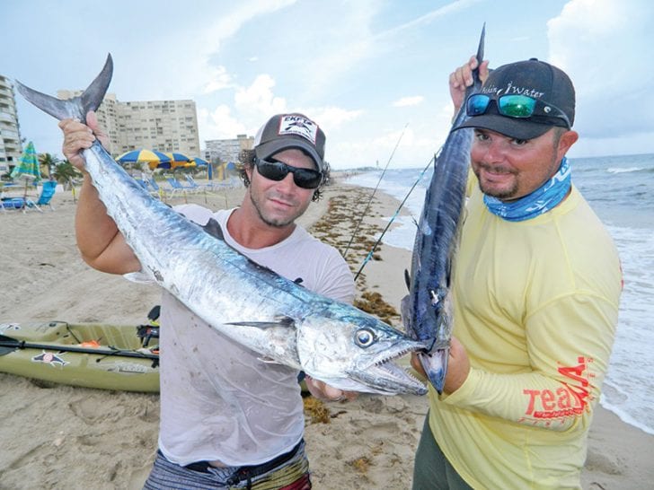 Joe Hector and Brian Nelli with a pair of kingfish caught from kayaks.