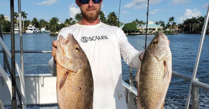 A solid day with Fishing Headquarters and twin mangrove snappers.