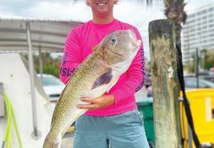 Nice golden tilefish caught deep dropping with Fishing Headquarters.