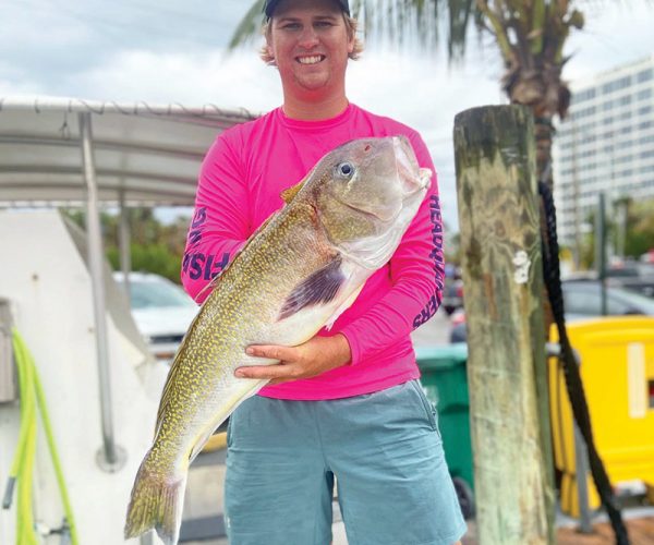 Nice golden tilefish caught deep dropping with Fishing Headquarters.