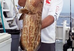 Nice black grouper caught aboard the Catch My Drift.