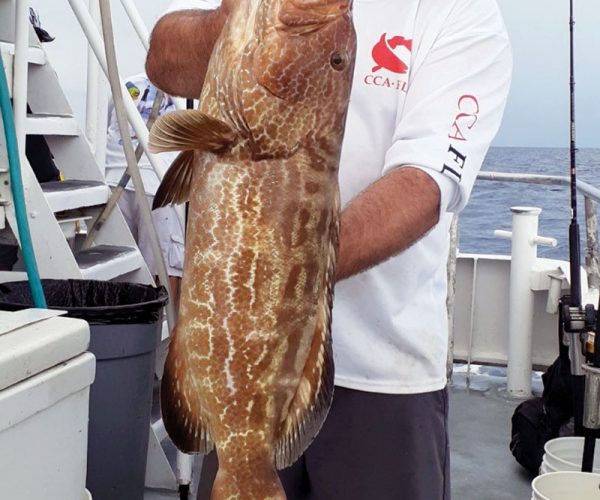 Nice black grouper caught aboard the Catch My Drift.