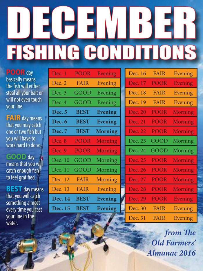 fishing_conditions_dec16 | Coastal Angler & The Angler Magazine