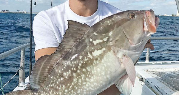 Frank with a nice red grouper aboard the Catch My Drift.