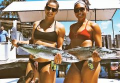 Shannon Snell and Mikela Aponte nabbed these kingfish while sporting PLBs from ACR Artex.