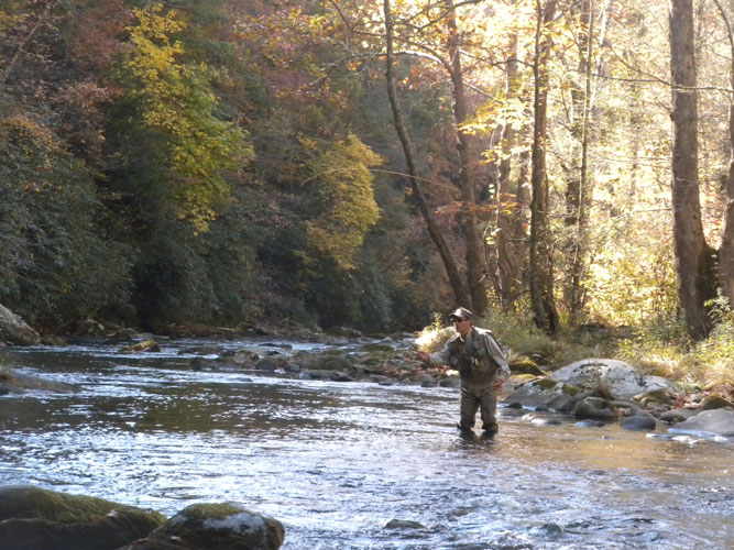 The Bountiful Riches of Famed Hazel Creek - Coastal Angler & The