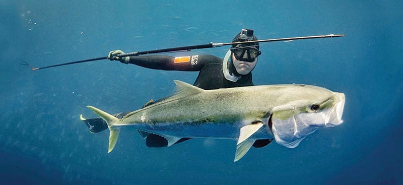 Miami Spearfishing – Nov. 2018 - Coastal Angler & The Angler Magazine