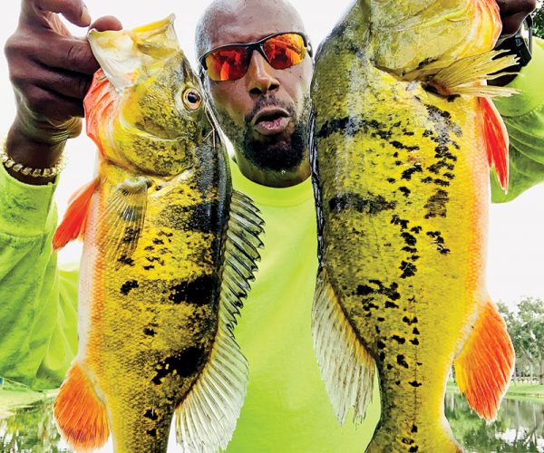 Marcus Good with a pair of nice peacock bass.