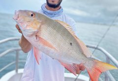 July is prime time for mutton snapper on the Catch My Drift.