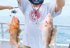 Two for one red grouper caught recently aboard the Catch My Drift.