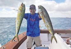 A pair of nice dolphin caught on a charter with Fishing Headquarters.